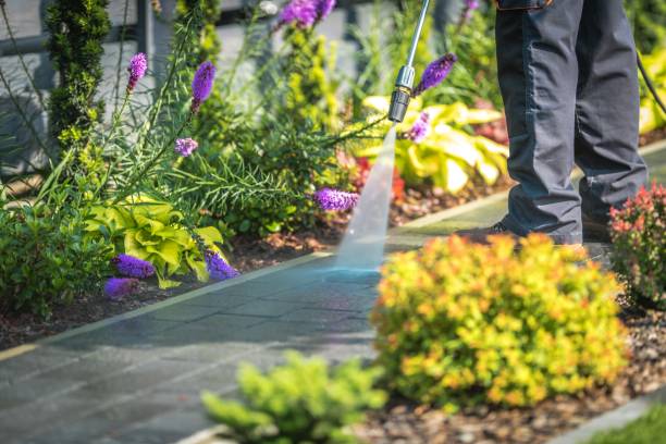 Best Restaurant Pressure Washing  in Mission Viejo, CA